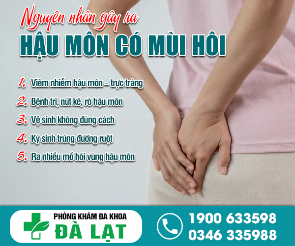 Hình ảnh minh họa